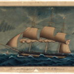 zebra_ship