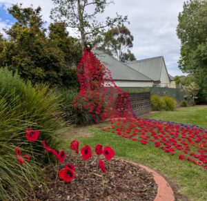 Poppy display Remembrance Day 2025 Hahndorf
