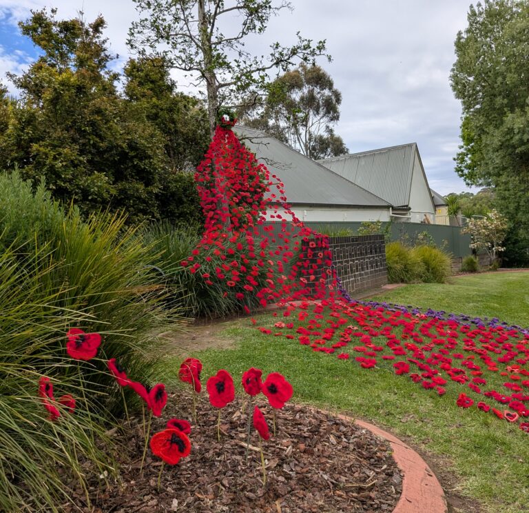 Poppy display Remembrance Day 2025 Hahndorf