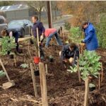 strempelgarden_create